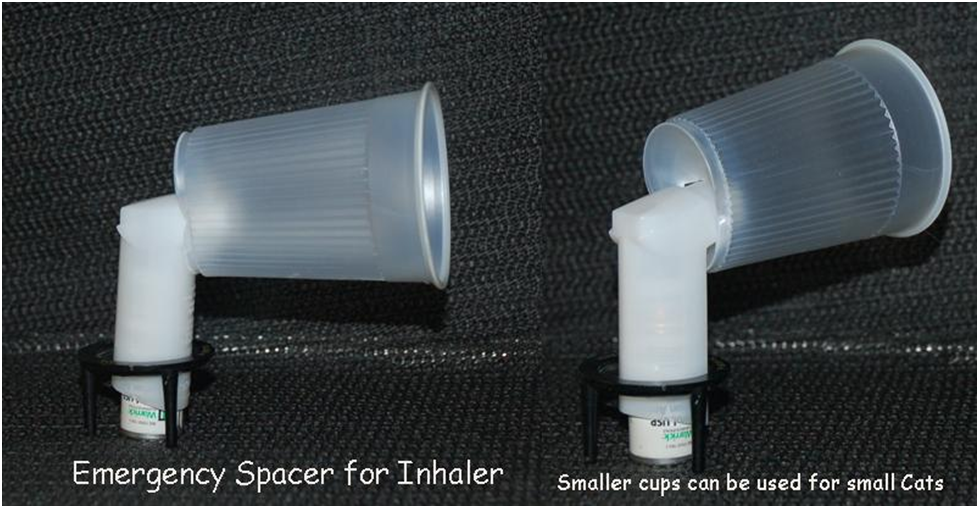 Inhaler Spacer